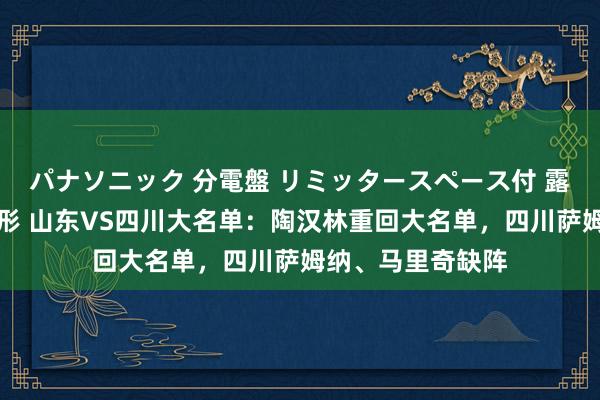 パナソニック 分電盤 リミッタースペース付 露出・半埋込両用形 山东VS四川大名单：陶汉林重回大名单，四川萨姆纳、马里奇缺阵