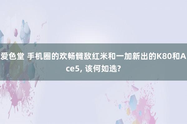 爱色堂 手机圈的欢畅雠敌红米和一加新出的K80和Ace5， 该何如选?