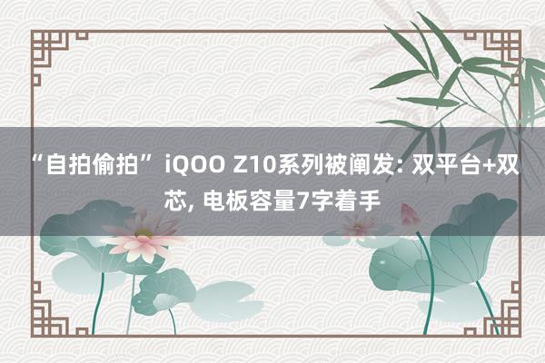 “自拍偷拍” iQOO Z10系列被阐发: 双平台+双芯， 电板容量7字着手