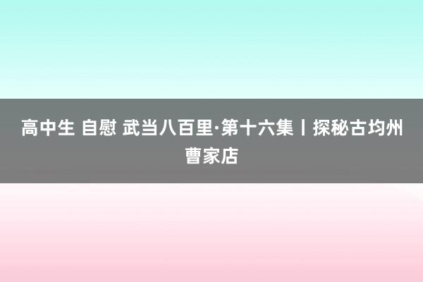 高中生 自慰 武当八百里·第十六集丨探秘古均州曹家店