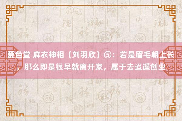 爱色堂 麻衣神相（刘羽欣）⑤：若是眉毛朝上长，那么即是很早就离开家，属于去迢遥创业