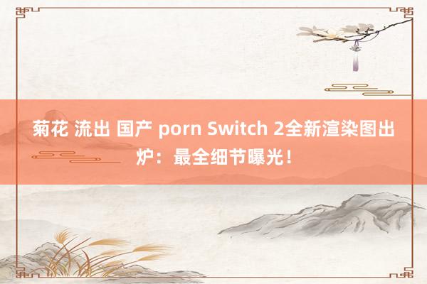 菊花 流出 国产 porn Switch 2全新渲染图出炉：最全细节曝光！