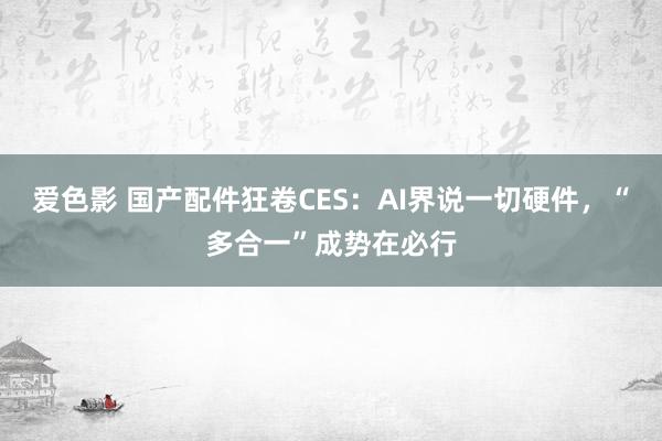 爱色影 国产配件狂卷CES：AI界说一切硬件，“多合一”成势在必行