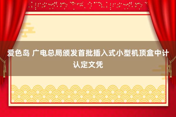 爱色岛 广电总局颁发首批插入式小型机顶盒中计认定文凭