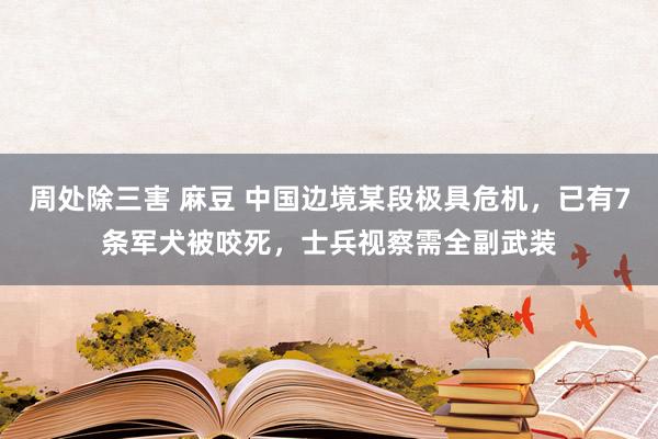 周处除三害 麻豆 中国边境某段极具危机，已有7条军犬被咬死，士兵视察需全副武装